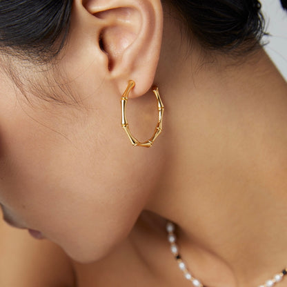 【Premium Quality】S925 Silver Half-Circle Hoop Earrings